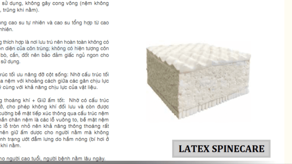 Everon – Chăn ga gối đệm Hàn Quốc