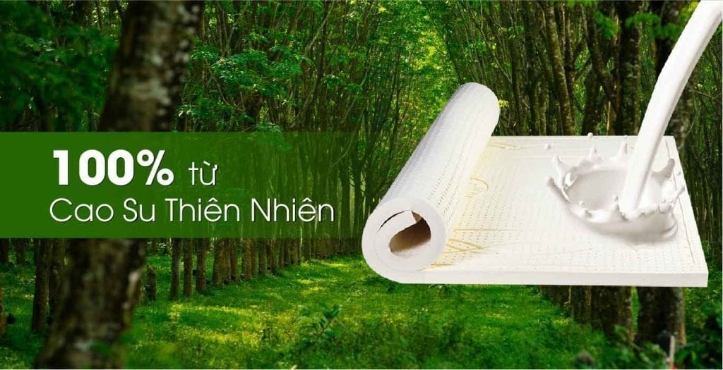Ưu nhược điểm của đệm cao su thiên nhiên