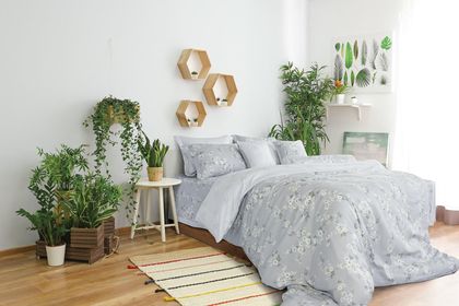 Everon – Chăn ga gối đệm Hàn Quốc