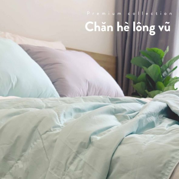 Everon – Chăn ga gối đệm Hàn Quốc