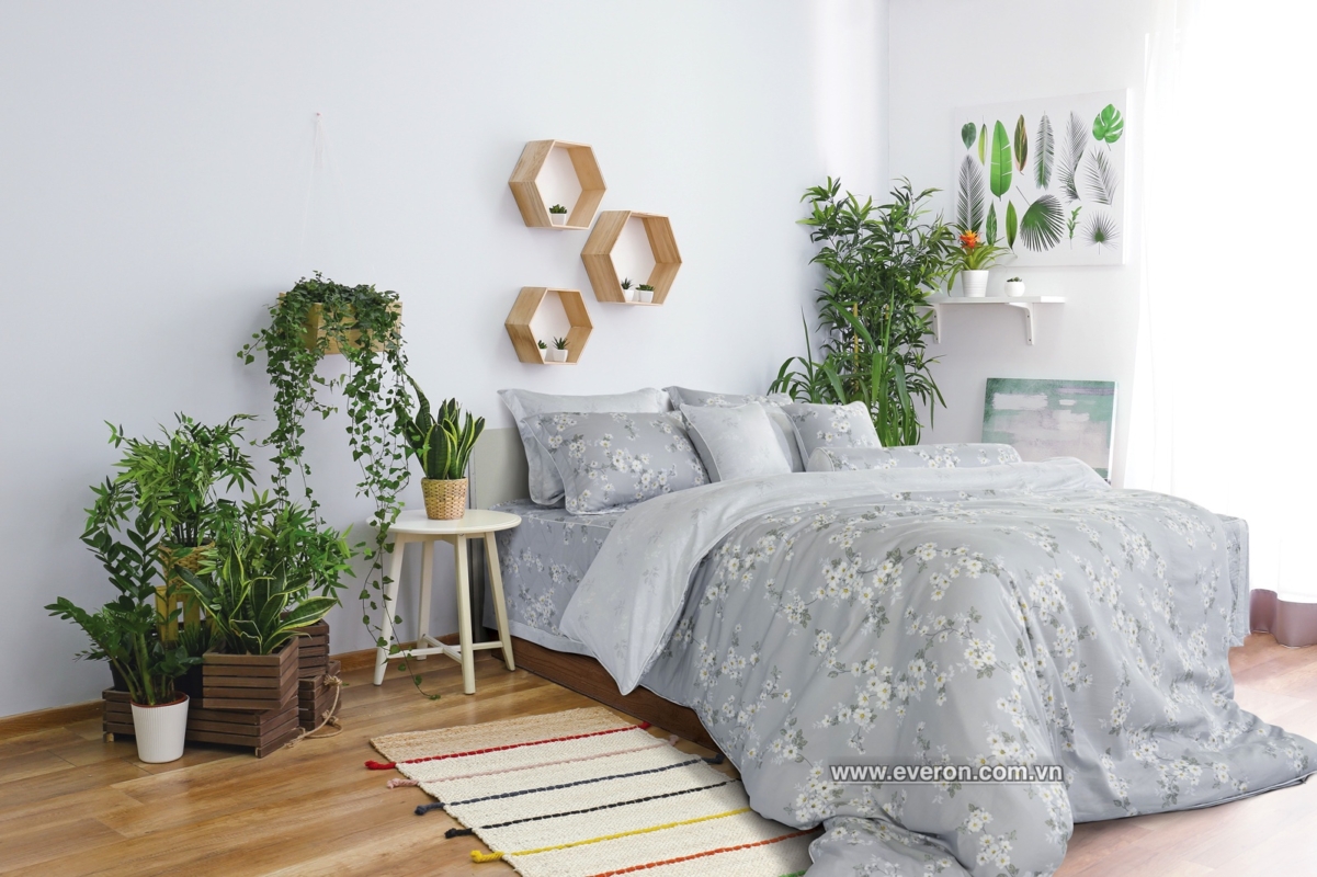 Everon – Chăn ga gối đệm Hàn Quốc