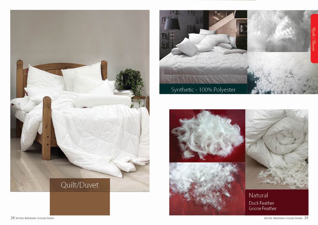 Everon – Chăn ga gối đệm Hàn Quốc