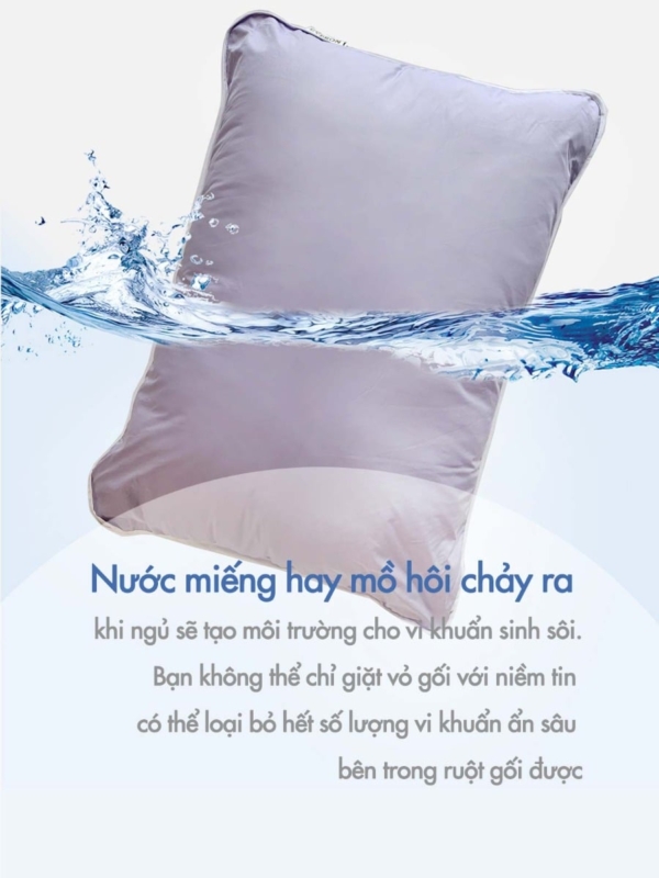 Everon – Chăn ga gối đệm Hàn Quốc