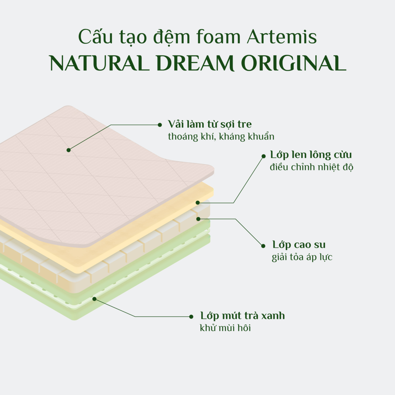 Đệm foam artemis nature dream original 3