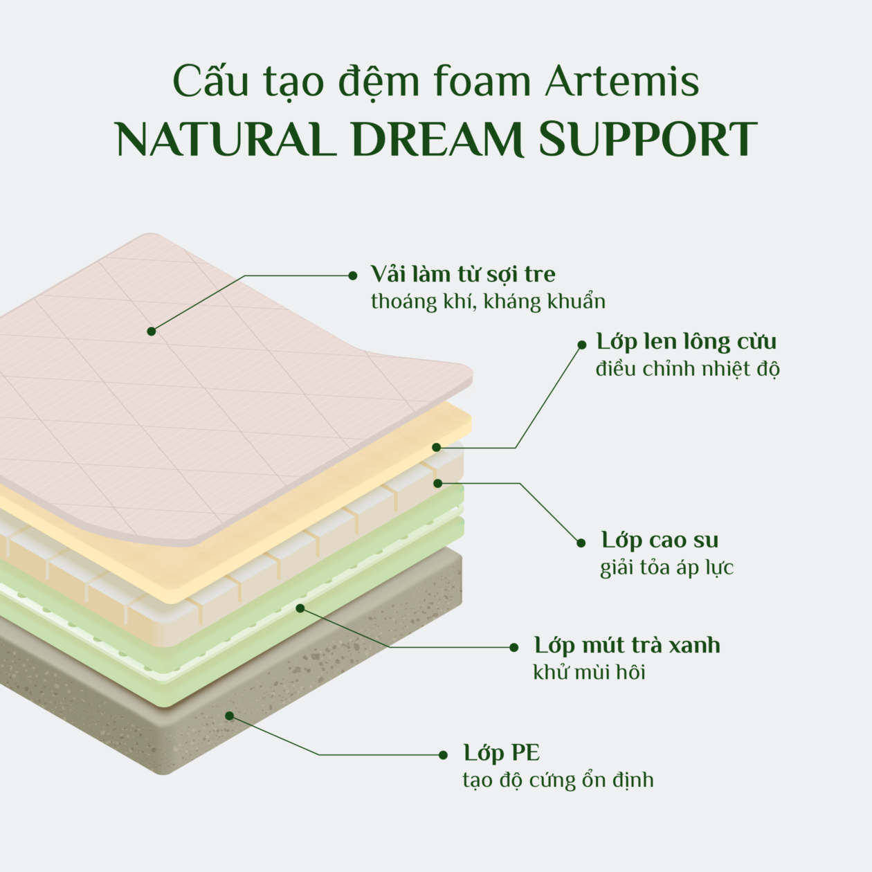 Đệm foam artemis nature dream support 3