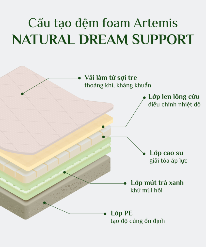 Đệm foam artemis nature dream support 3