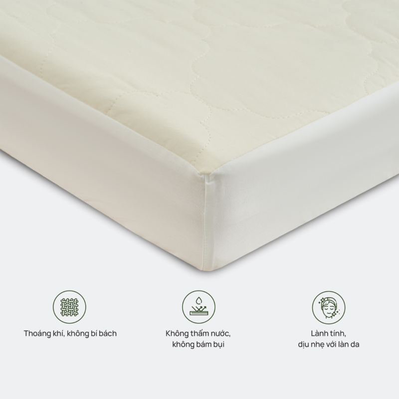 Everon – Chăn ga gối đệm Hàn Quốc