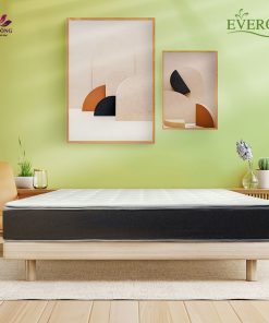 Everon dong da 68e93bd4b1429