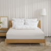 Bộ ga chun Microfiber KMP402_K-Bedding