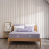 Bộ ga chần bông Cool Flex KCSP401_K-Bedding - NV
