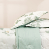 20 citrus eptmc27022 9 thumbnail 1x1 600x0 2.jpg