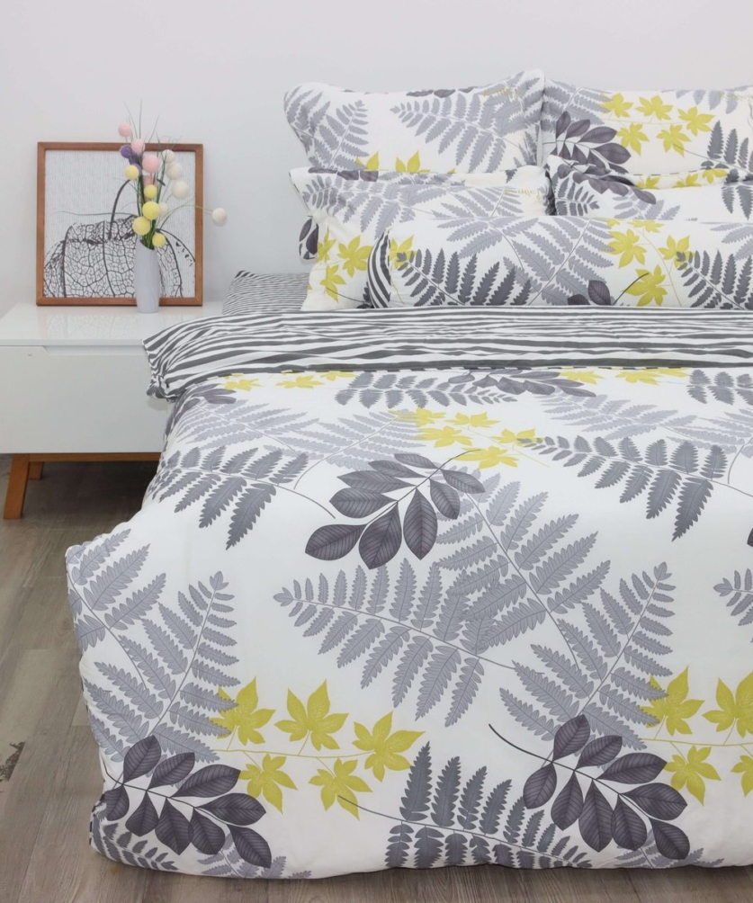 Bộ ga chun chần Cotton K-Bedding KCP304
