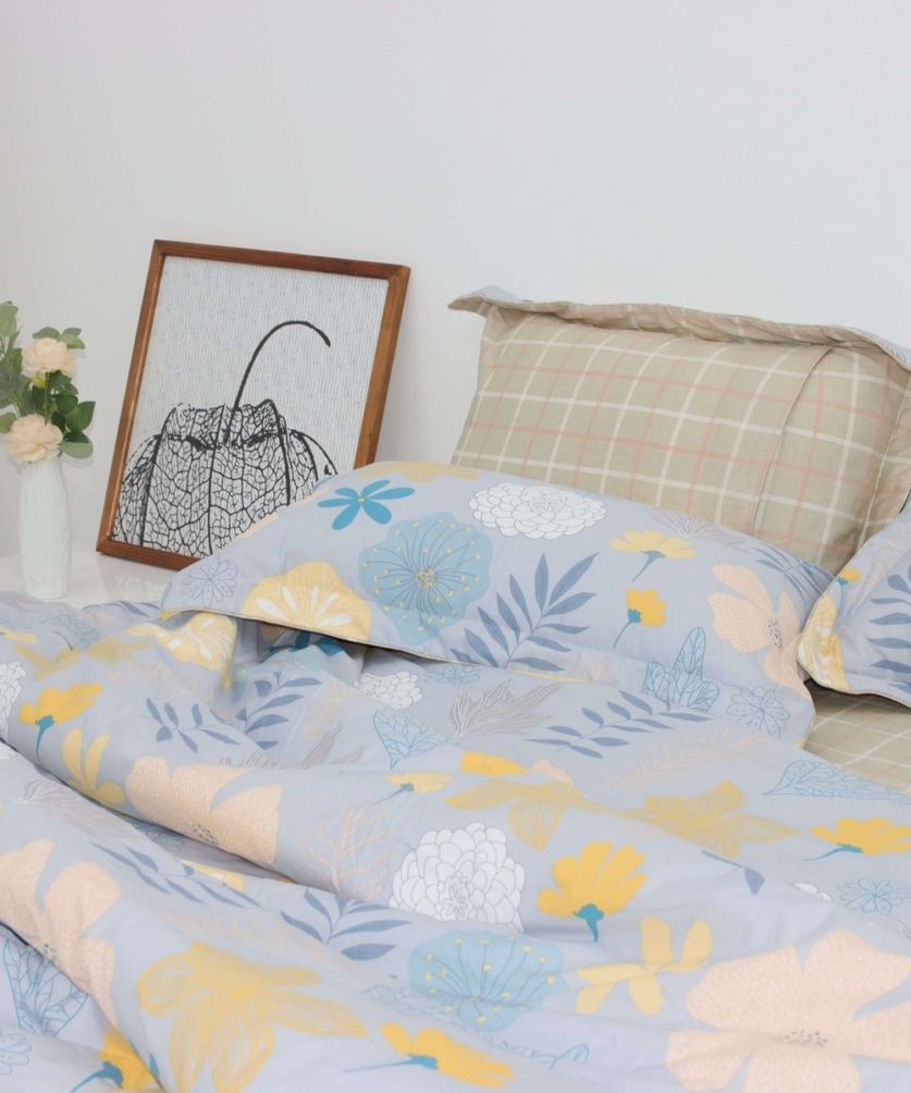 Bộ ga chun Cotton K-Bedding KCP301