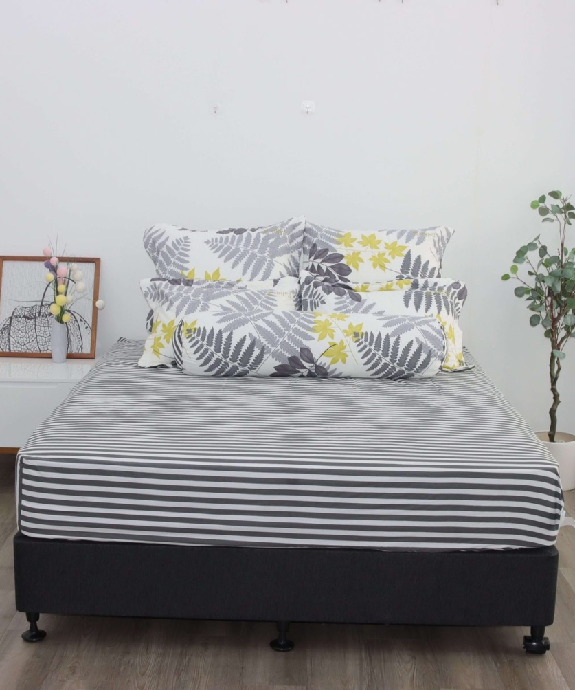 Bộ ga chun Cotton K-Bedding KCP304