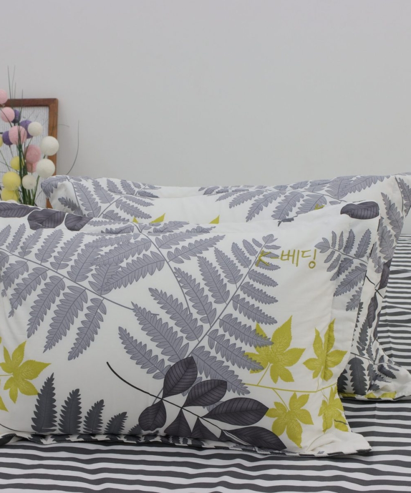 Bộ ga chun Cotton K-Bedding KCP304