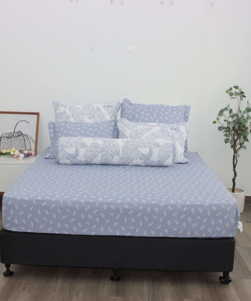 Bộ ga chun Cotton K-Bedding KCP305