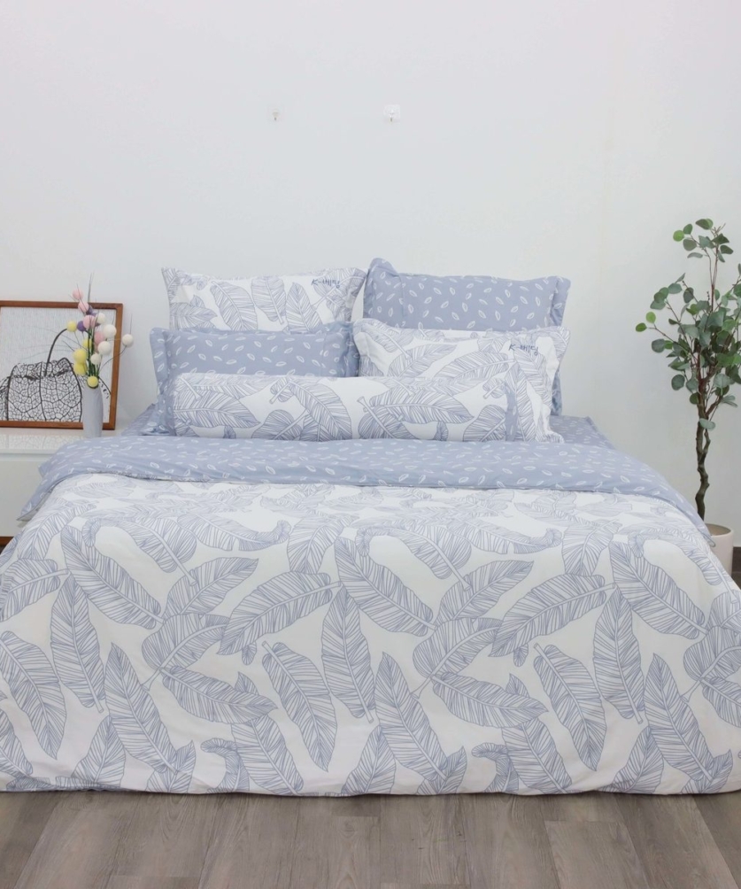 Bộ ga chun Cotton K-Bedding KCP305