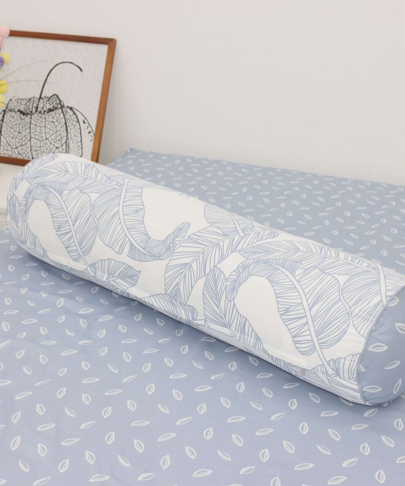 Bộ ga chun Cotton K-Bedding KCP305 - NV 8 Bộ ga chun Cotton K-Bedding KCP305 - NV