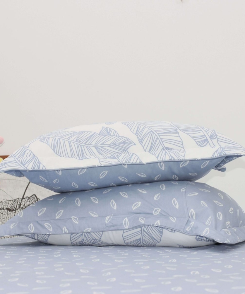Bộ ga chun Cotton K-Bedding KCP305 - NV 9 Bộ ga chun Cotton K-Bedding KCP305 - NV
