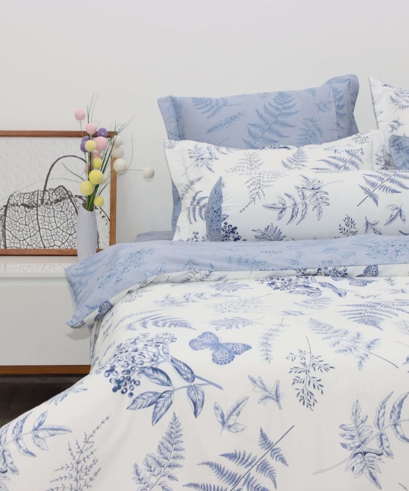 Bộ ga chun Cotton K-Bedding KCP306