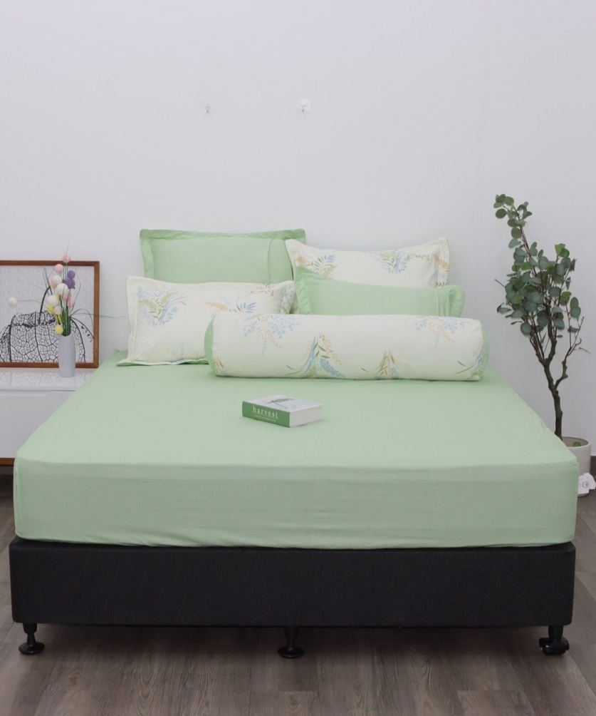 Bộ ga chun Cotton K-Bedding KCP307