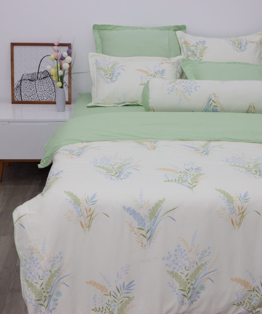 Bộ ga chun Cotton K-Bedding KCP307