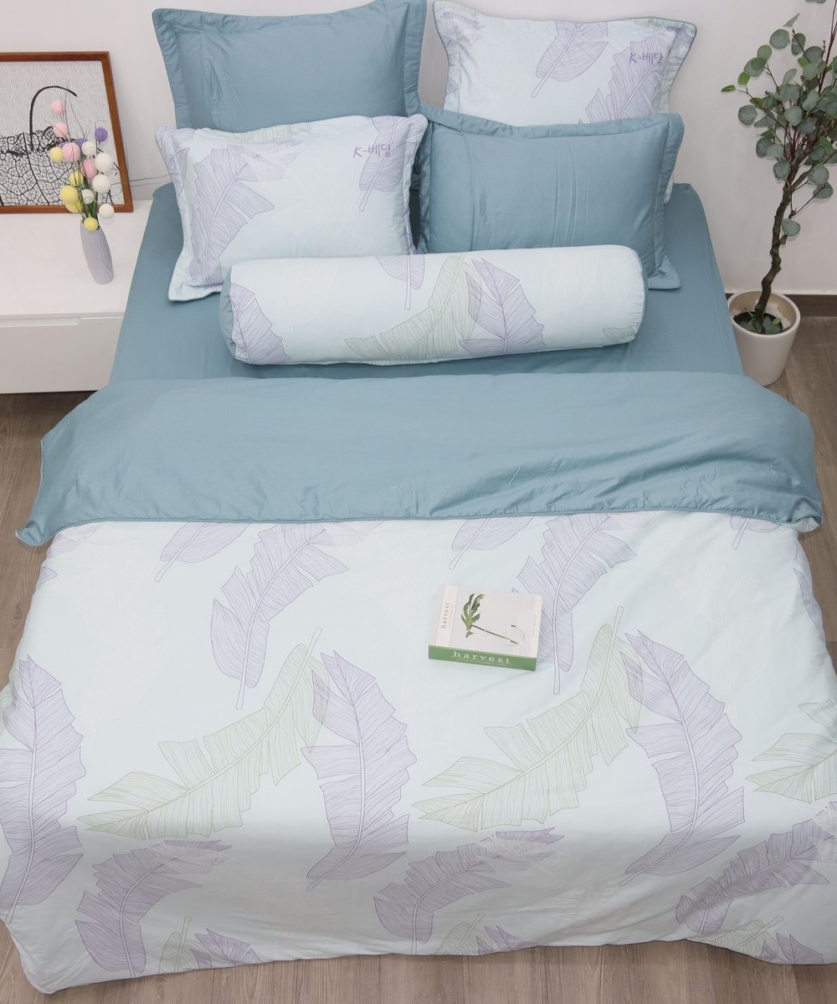 Bộ ga chun Cotton K-Bedding KCP308