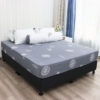 Bộ ga chun Microfiber KMP303_K-Bedding - NV