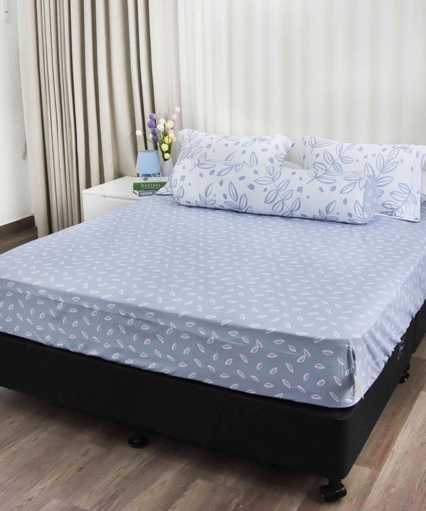 Bộ ga chun Microfiber KMP305_K-Bedding - NV