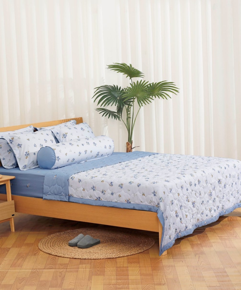 Bộ ga chun chần Microfiber KMP502_K-Bedding - NV