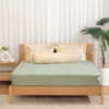 Bộ ga chun chần Microfiber KMP503_K-Bedding - NV