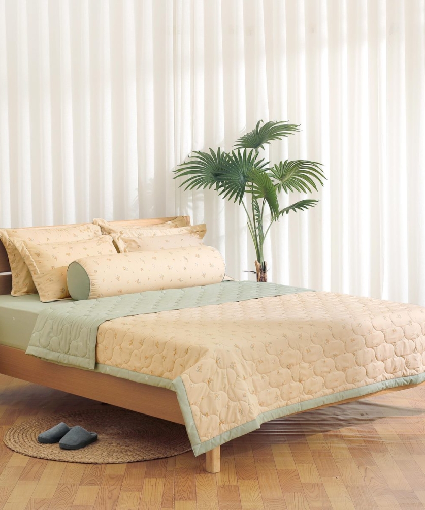 Bộ ga chun chần Microfiber KMP503_K-Bedding - NV