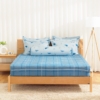Bộ ga chun chần Microfiber KMP506_K-Bedding - NV