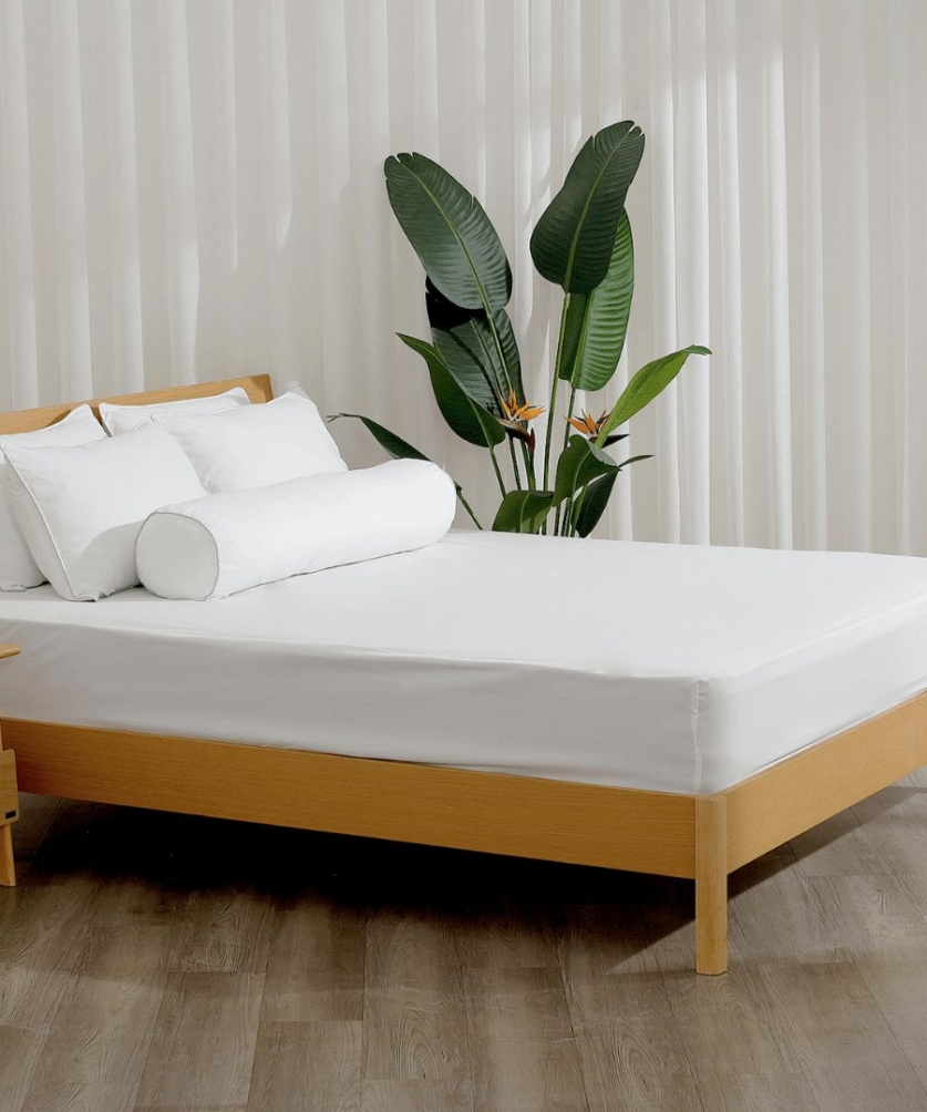 Bộ ga chun Microfiber KMS401_K-Bedding - NV