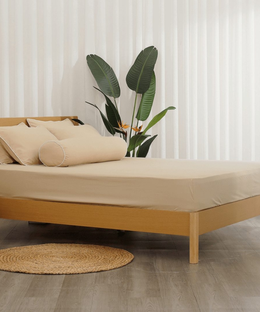 Bộ ga chun Microfiber KMS402_K-Bedding - NV