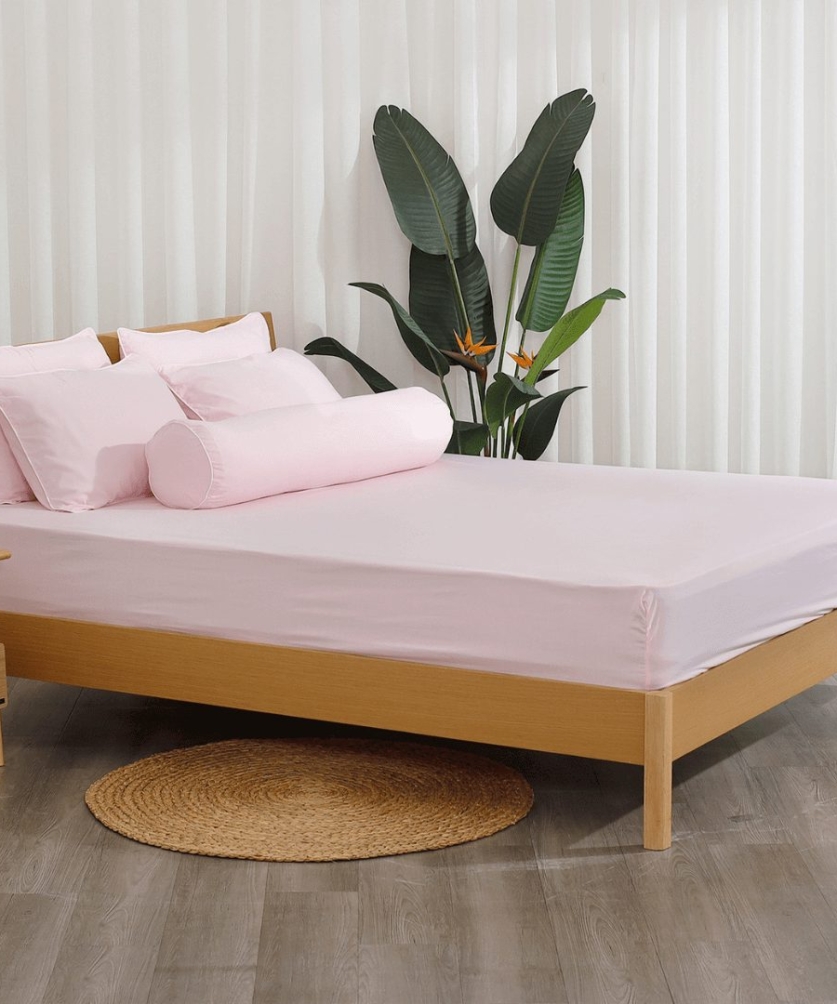 Bộ ga chun Microfiber KMS406_K-Bedding - NV