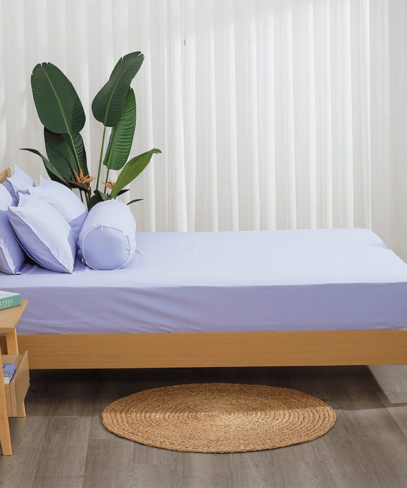 Bộ ga chun Microfiber KMS408_K-Bedding
