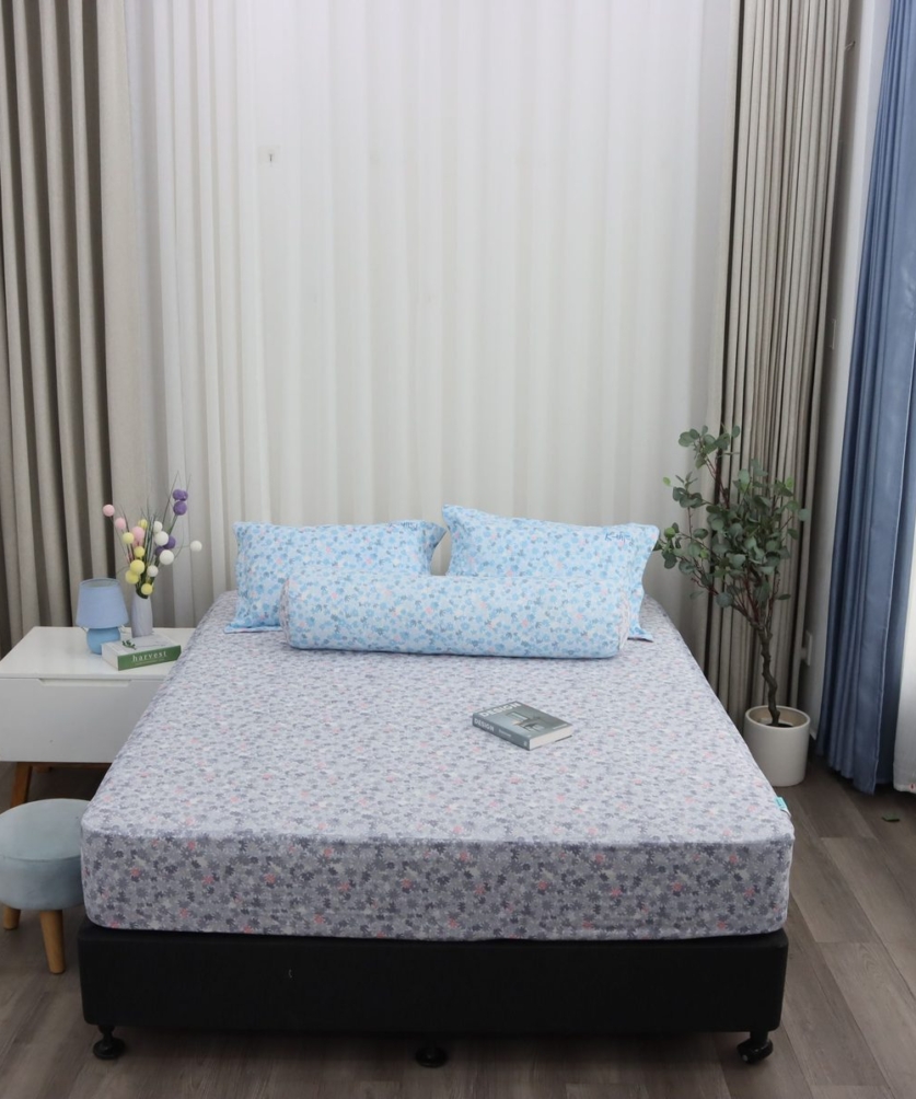 Bộ ga chun MicroTencel K-Bedding KMTP301_K-Bedding - NV