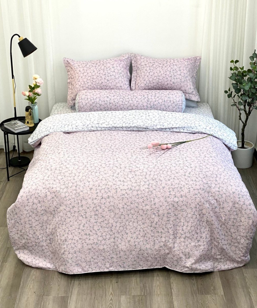 Bộ ga chun MicroTencel K-Bedding KMTP113_K-Bedding - NV