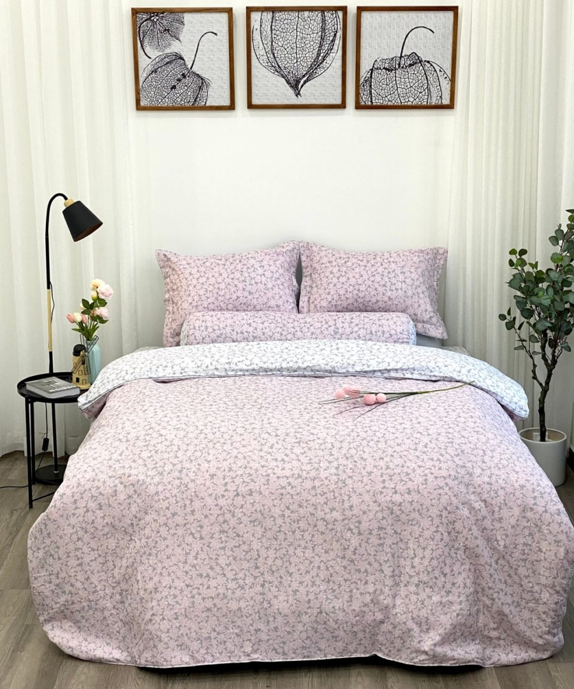 Bộ ga chun MicroTencel K-Bedding KMTP113_K-Bedding - NV