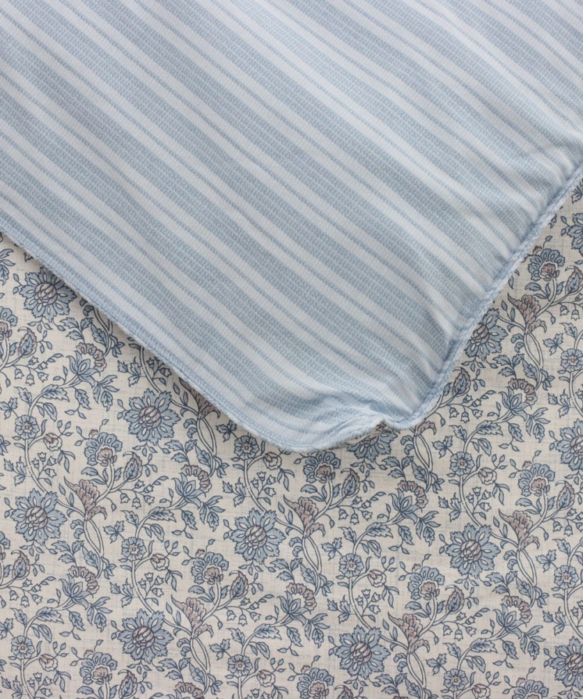 Bộ ga chun (chun chần) MicroTencel K-Bedding KMTP306_K-Bedding - NV