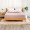 Bộ ga chun MicroTencel K-Bedding KMTP454 - NV