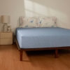 Cuộc phiêu lưu của Cổ Dài & Ba Sừng - CPC26204