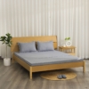 Đệm Bông Ép Essentials KMS_K-Bedding - NV