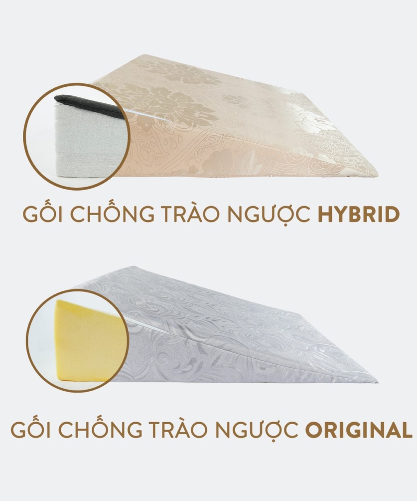 Gối chống trào ngược Everon