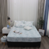 Bộ ga chun MicroTencel K-Bedding KMTP305_K-Bedding - NV