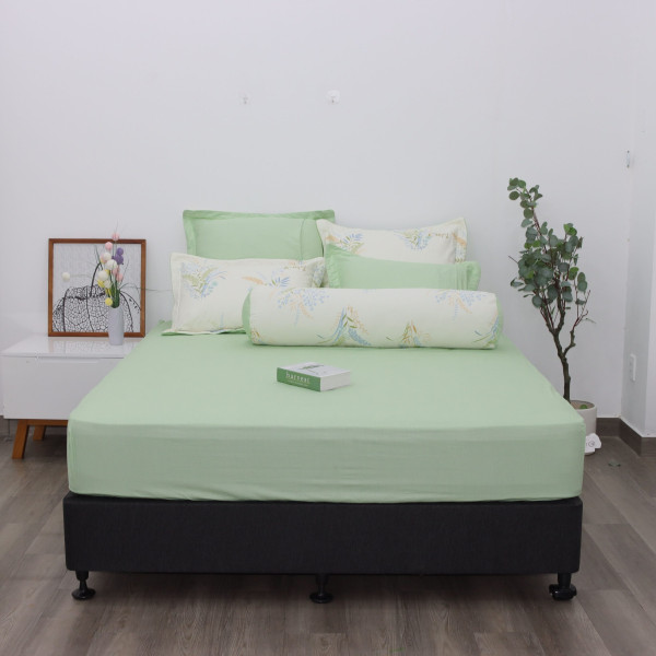 Bộ ga chun Cotton K-Bedding KCP307