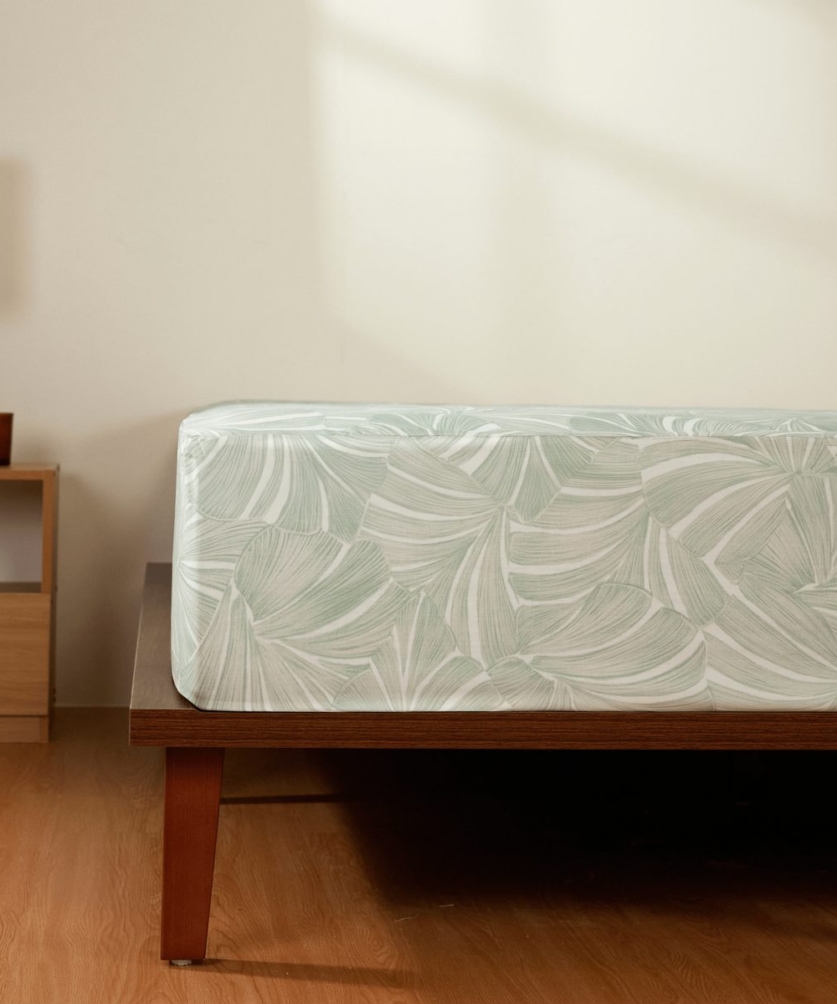 Monstera - EPT26015