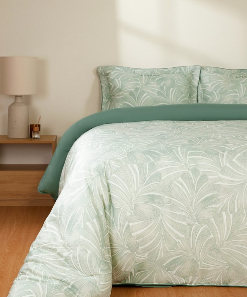 Monstera - EPT26015