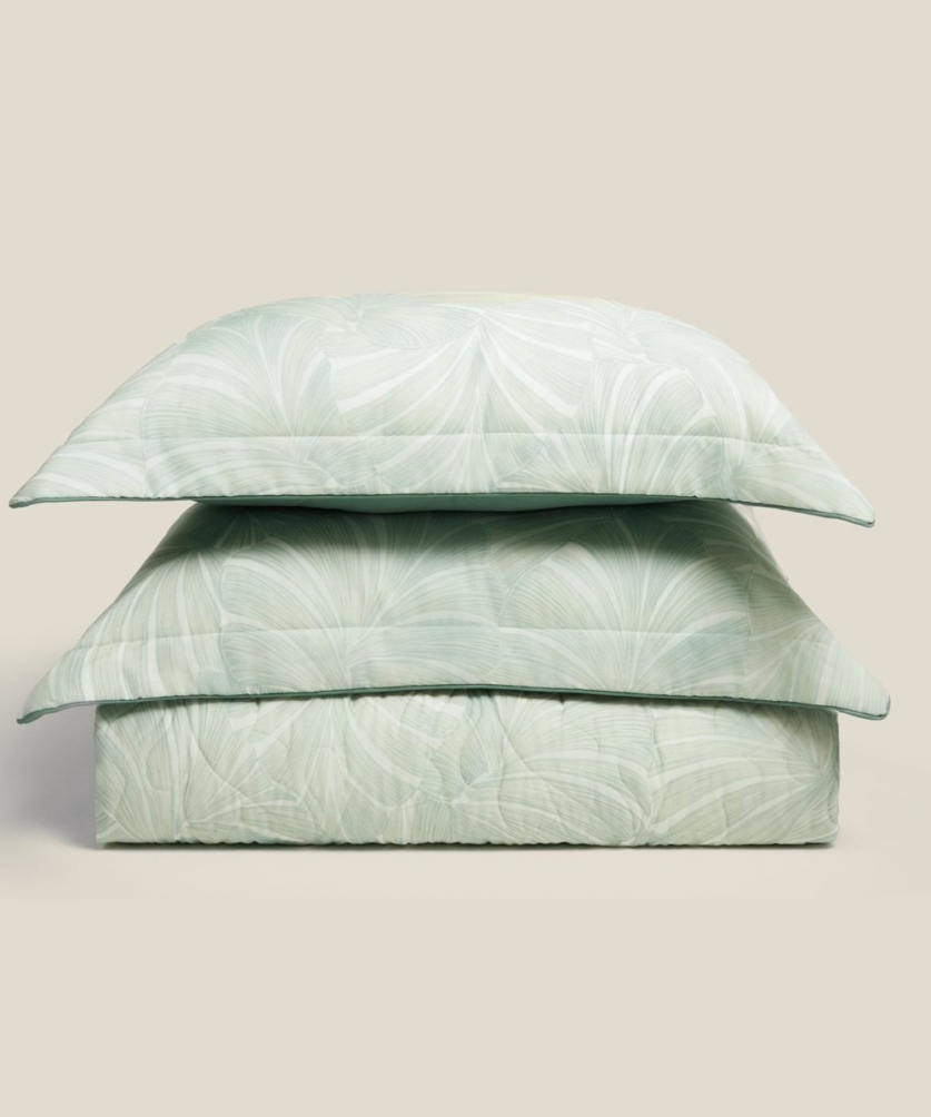Monstera - EPT26015